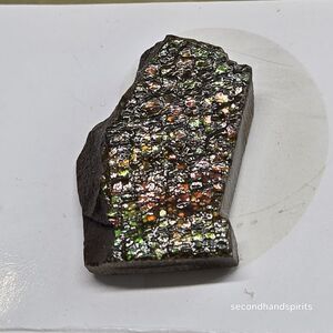AMMOLITE SPECIMEN Real Authentic 8gr